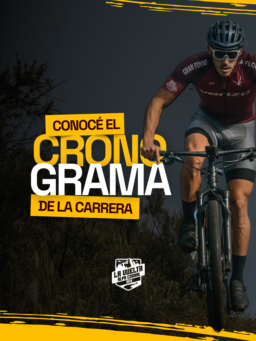 Cronograma 1