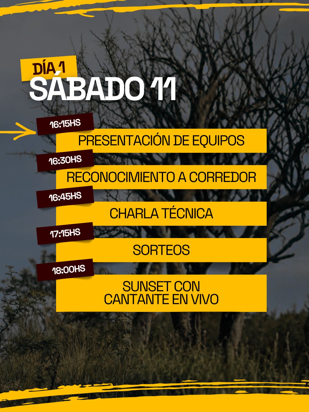Cronograma 3